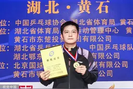 樊振东，全锦赛史上首位男单“四冠王”图片