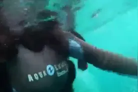 暗河最深可达400米，一女性潜水爱好者下潜至28米后失联视频封面