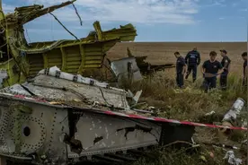 时隔八年马航MH17空难审判落槌 如何看待悲剧背后的政治因素？图片