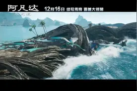 定档！《阿凡达2》12月16日在我国上映图片