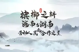 槟榔之耕：海南与湖南劳动人民的合作之美——槟榔图片