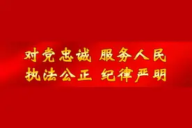 关于开展流浪犬领养活动的通告图片