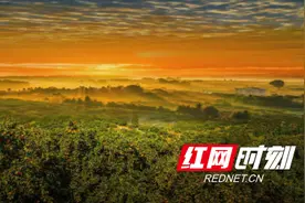 山乡巨变雪峰山④丨最是橙黄桔绿时图片