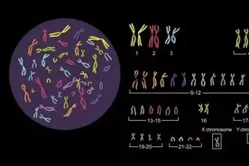 女子结婚3年未孕，医院一查：男人图片