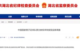 李铁：曾经的“四小天鹅”图片