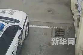 边牧走丢5小时后，自己到派出所“求助”图片