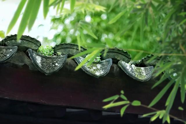 鹿茸花胶鸡蛋红枣汤 2026年红枣鹿茸炖花胶有什么功效