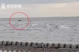 男子开心与女友视频分享东海日出美景 下一秒涨潮被困礁石图片
