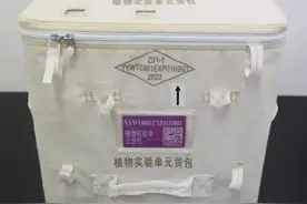 太空里又来了植物！中科院科学家解码空间站实验舱内植物的生长奥秘图片