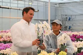 马云爱去的东京私人会所，好玩吗？图片
