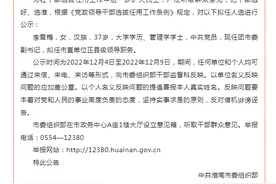 淮南发布干部任前公示图片