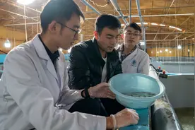 河北唐山：“解码”良种 渔业发展迎新机图片