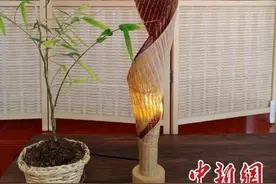 甘肃非遗青年说：农具上桌上墙 年轻视角“活化”百年手艺图片