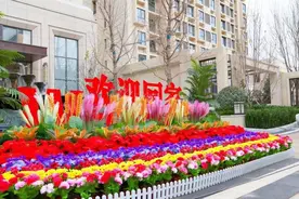 11城21项目交付，这家国企年底交出“保交楼”成绩单图片