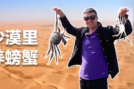 英国小哥@库布齐沙漠，见证荒漠变绿洲的中国奇迹图片