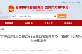 安徽省宣城市市场监管局公布2022民生领域案件查办“铁拳”行动第八批典型案例图片