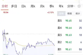 千亿市值锂电龙头放大招图片