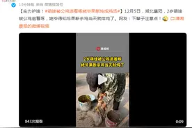 实力护娃！萌娃被公鸡追着啄，姥爷果断将其炖成鸡汤图片