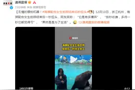 无情的“摆拍机器”！海狮配合女生拍照，结束后秒扭头图片