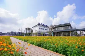 引入“下金蛋的母鸡”，浦东这个村迎来腾飞图片