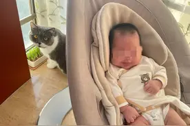 婴幼儿渡疫图片