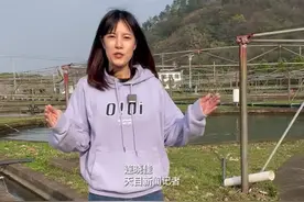 全球顶尖美食鱼子酱是怎么生产出来的图片