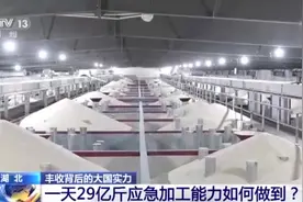 硬核保供：如何在24小时做出14亿多人两天的“口粮”？图片