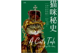 小猫想要的，比人类想的简单得多图片