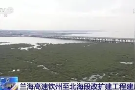 广西兰海高速钦州至北海段改扩建工程建成通车图片