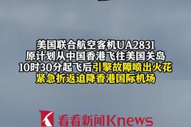 撞到飞鸟引擎喷火 美联航客机紧急折返迫降香港图片