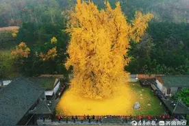 子衿青青｜“五老榜”中73岁的进士图片