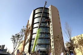 “鲸”动绿城！看重约1吨的白鲸如何搬进郑州6层楼新家？图片