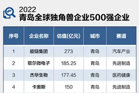 全国第五、北方第二，“独角兽之城”青岛是如何炼成的？图片