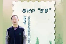 你发现了吗？你家的植物，有“智慧”图片