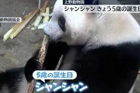 旅日大熊猫“香香”归国时间已定！日本民众曾排队4小时一睹“芳容”→图片