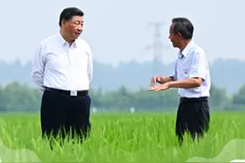 “经常到田间地头看一看”图片