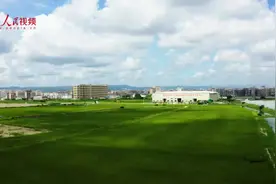 走进粮仓看丰收丨做好粮食“体检” 把好质量关图片
