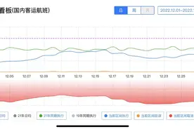 张仲麟：疫情防控放开带来冲击，民航业准备好了吗？图片