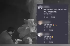 主人凌晨帮母牛生产，母牛“亲吻”主人，网友：万物皆有灵性图片
