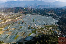 川观独家丨探路共同富裕 ，四川为何选择攀枝花？图片