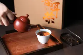 古树纯料丨带你品茗甜糯醇厚、味清气纯的冰岛湖普洱熟茶图片