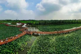 讲好山东黄河故事 ｜滩区黄河情   孔庆贵图片