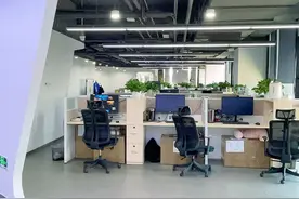 乐视员工讲述四天半工作制体验：连拖延症都治好了图片