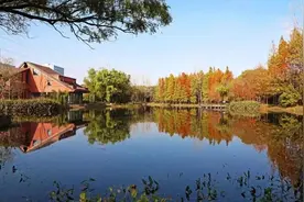 上海又一座环城生态公园开园！周边提供76个停车位图片