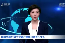 AI合成主播｜德国去年11月工业新订单环比减少5.3%图片