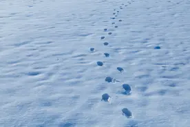 雪丨人来人往图片
