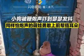 狗狗被鞭炮声吓到，萌娃帮忙捂住耳朵图片