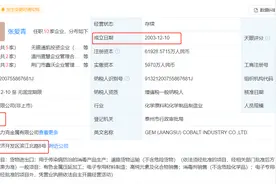 【深度】400亿电池回收龙头格林美“失火”：负债、存货高企，大扩产下钱从哪来？图片