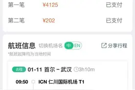 归国机票价格暴涨！多国直飞回国“一票难求”图片
