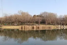 在冬日的暖阳下，期待一场雪到来图片